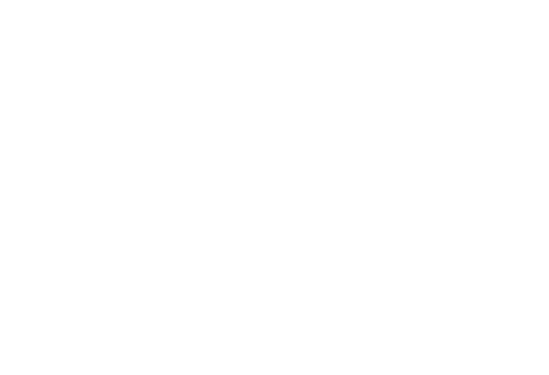 SHAPOORJI PALLONJI THE DUALIS
