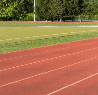 SHAPOORJI PALLONJI THE DUALIS