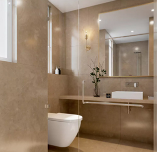 SHAPOORJI PALLONJI THE DUALIS